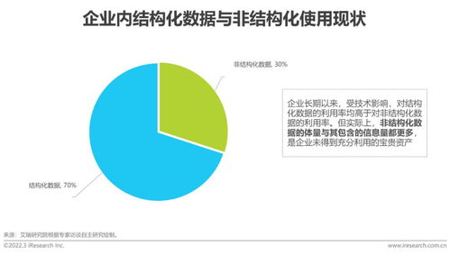 2022年中國人工智能數(shù)據(jù)治理行業(yè)研究報告 數(shù)據(jù)處理與存儲服務篇